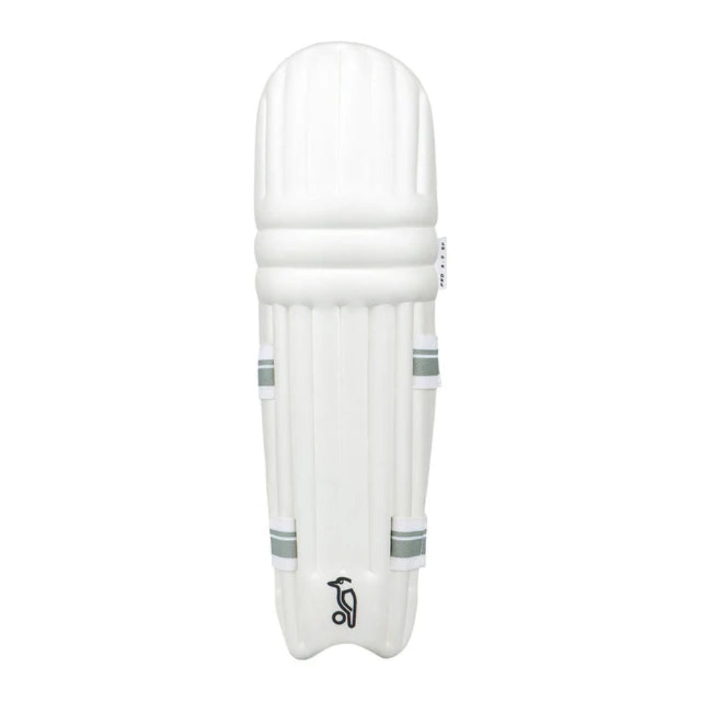 Pro 6.0 Batting Pads