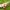 Cricket Bat Knocking